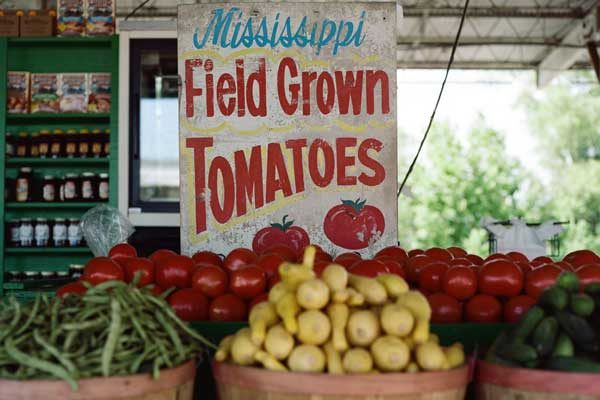 stacked vegetables at Mississippi farmer's market