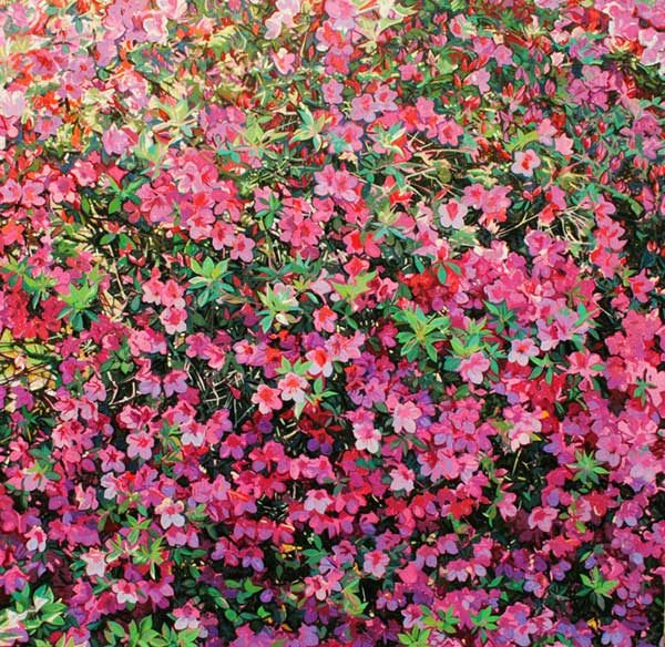 painting of azaleas by Charlie Buckley
