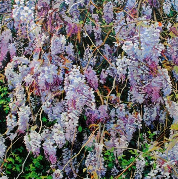 painting of Wisteria blooms by Charlie Buckley
