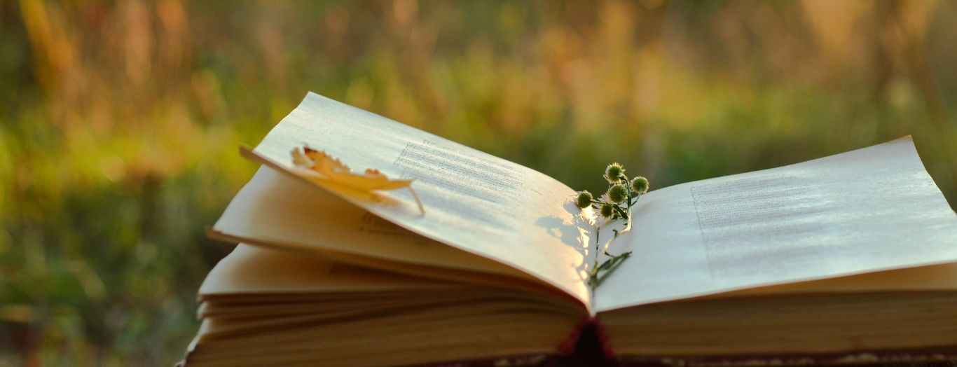Open book outside in a grassy meadow with a leaf and flowers sitting ontop of the book.
