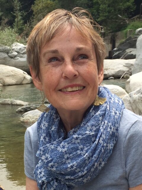 Ann Fisher-Wirth
